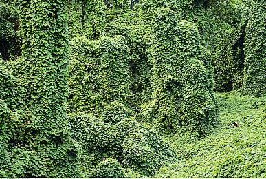 4 月Studio 驱动发布，还有全新 NVIDIA Studio 设计本等